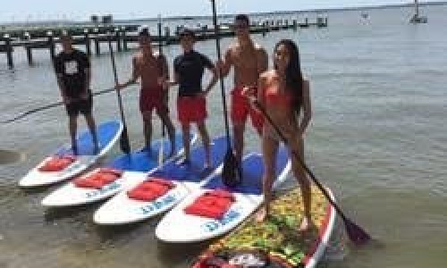 48th-st-watersports.jpg Five People Standing on Stand Up Paddle Boards in Bay