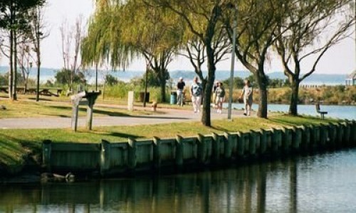 northside-park.jpg Park with Willows on the bay